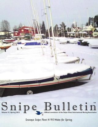 Snipe Bulletin Image