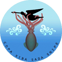 Campeonato Gallego – Copa Xiba Sada Image
