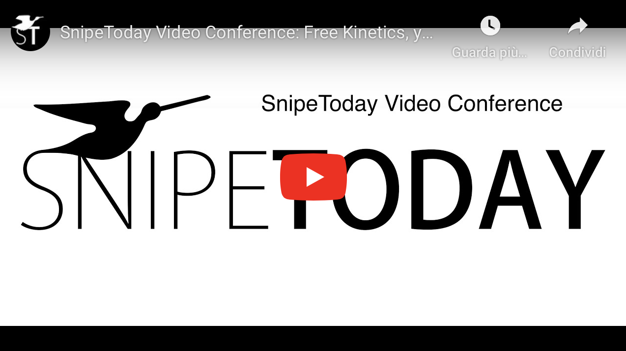 SnipeToday Video Conference: Free Kinetics: yes or no? (Part 2) Image