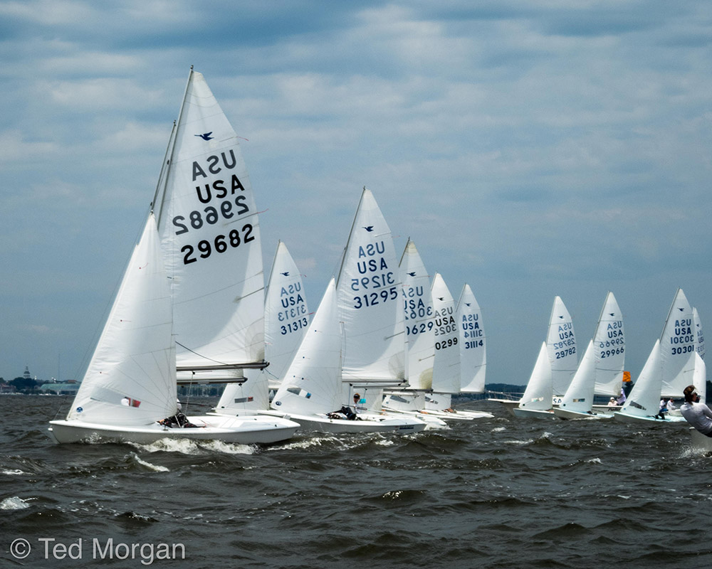 Colonial Cup – Day 1 Image