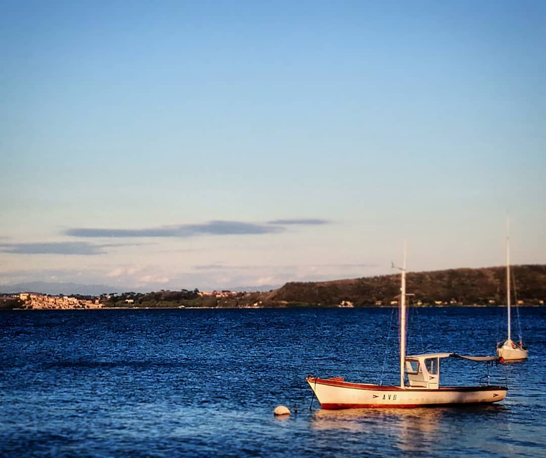 Zonale Bracciano Image