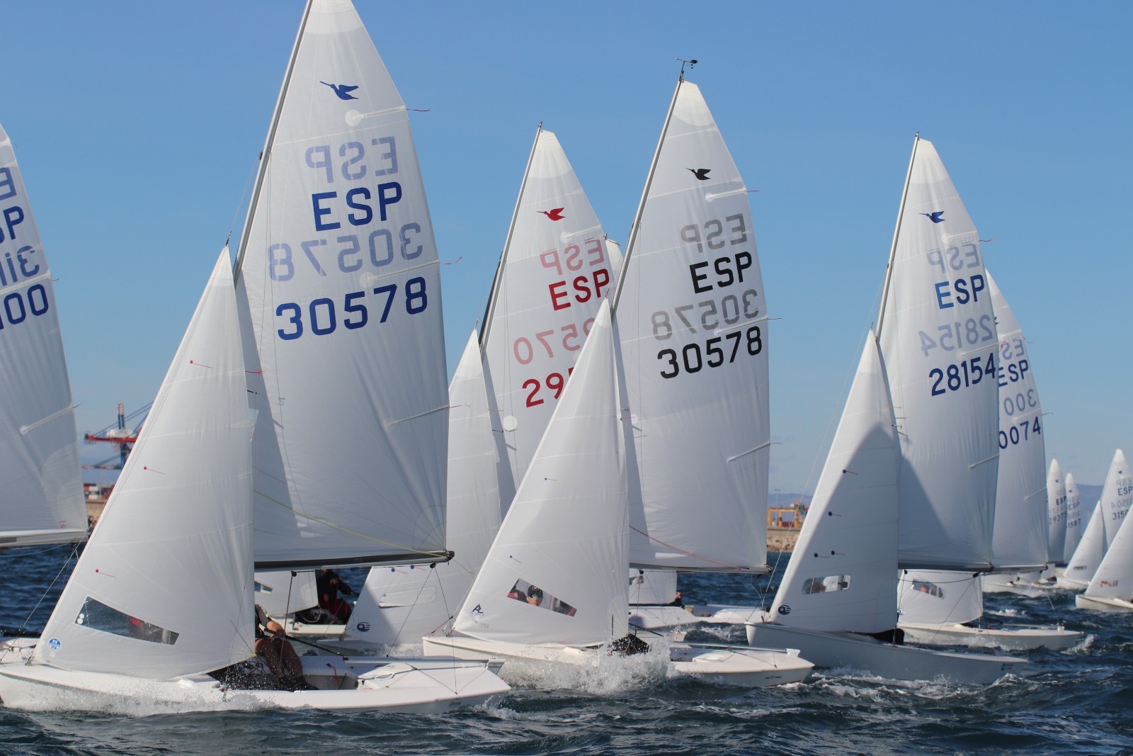 Gran Trofeo Valencia – Campeonato Autonómico Comunidad Valenciana – Final Image