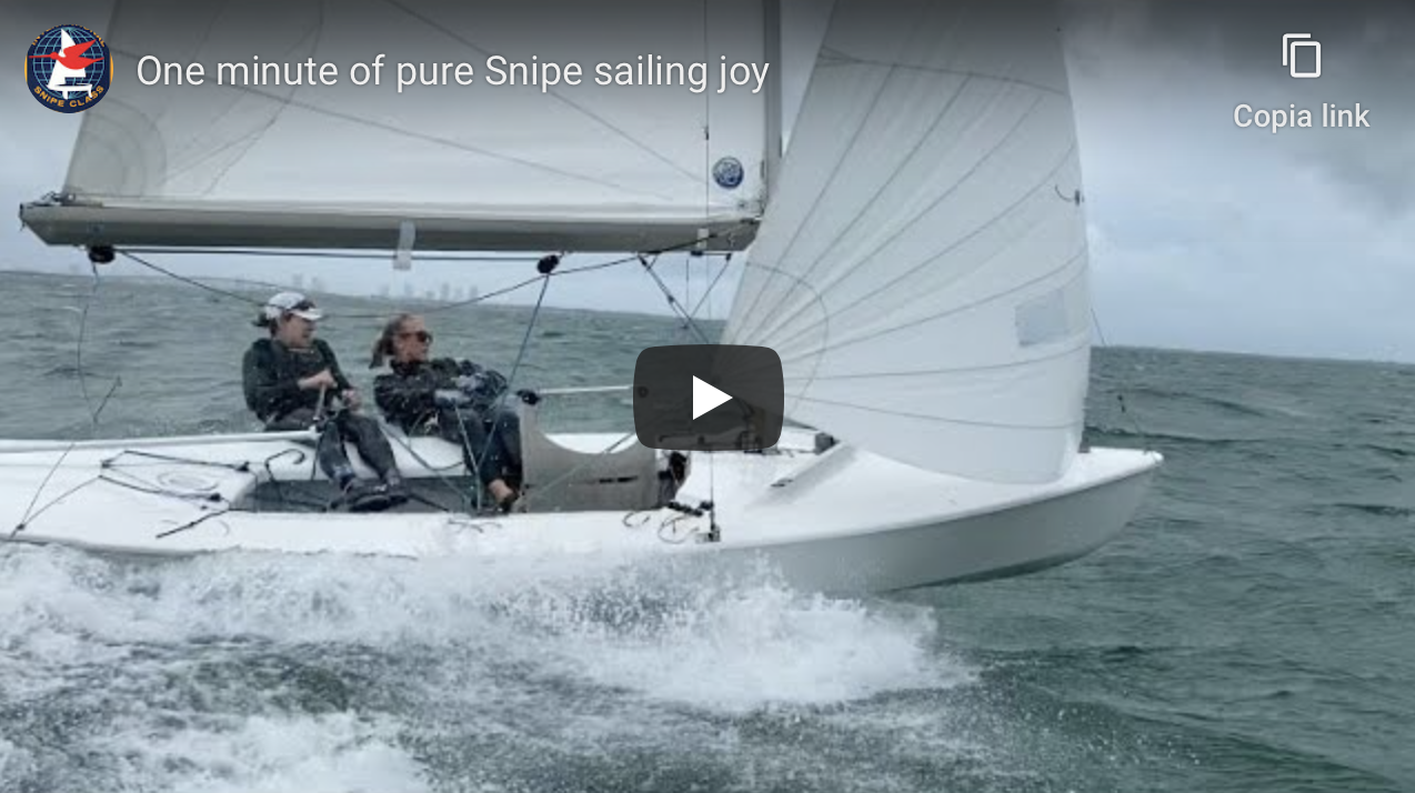 One Minute of Pure Snipe Sailing Joy Image