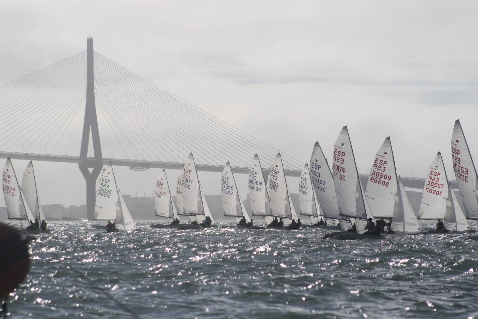Regata del Jamon Image