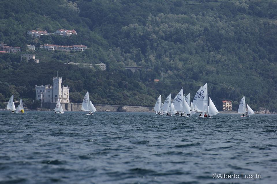 The Sistiana Fleet and the Snipe Fleets in the Gulf of Trieste Image