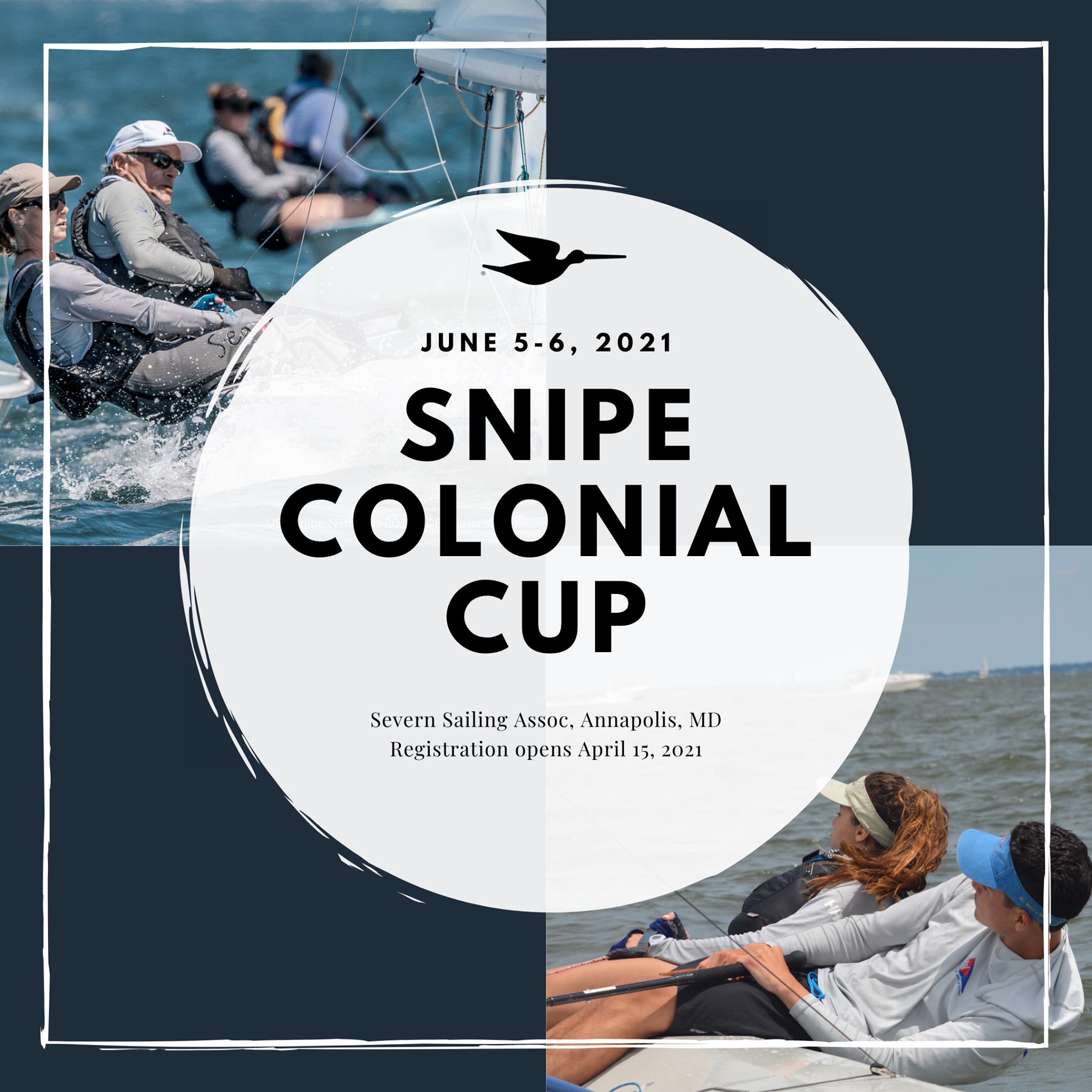 Colonial Cup Image