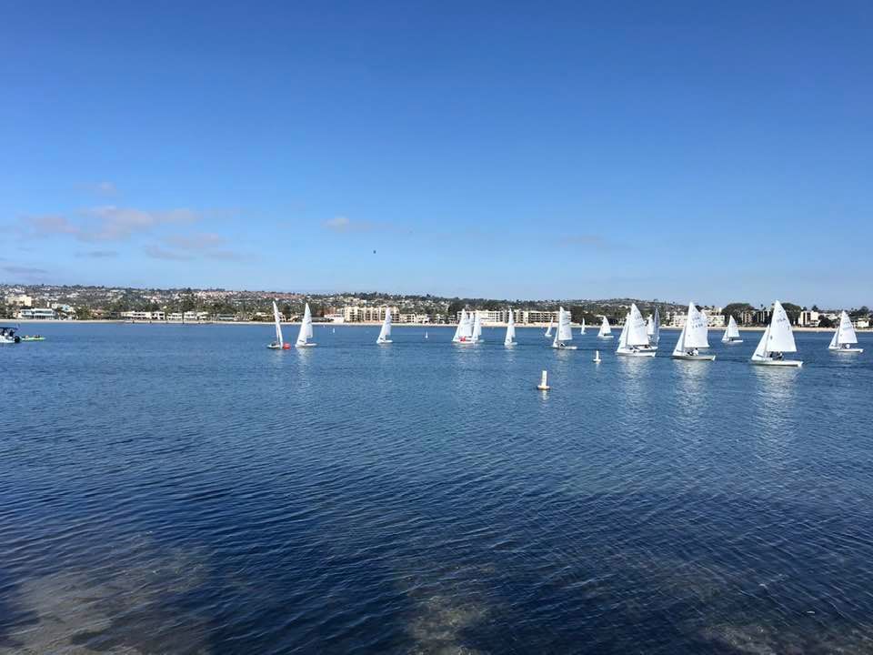 Carolyn Nute Regatta Image