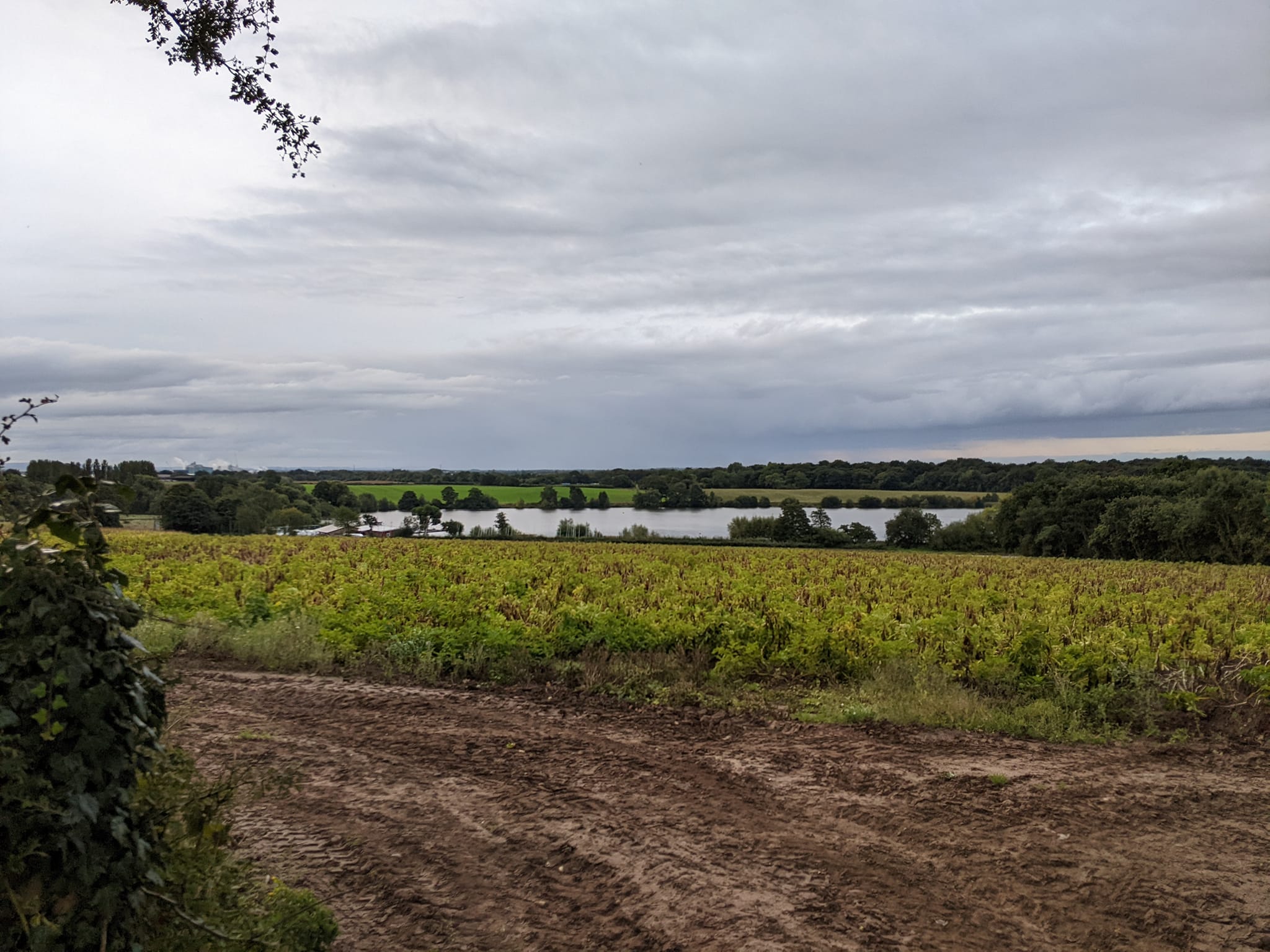 Budworth Snipe Open Image