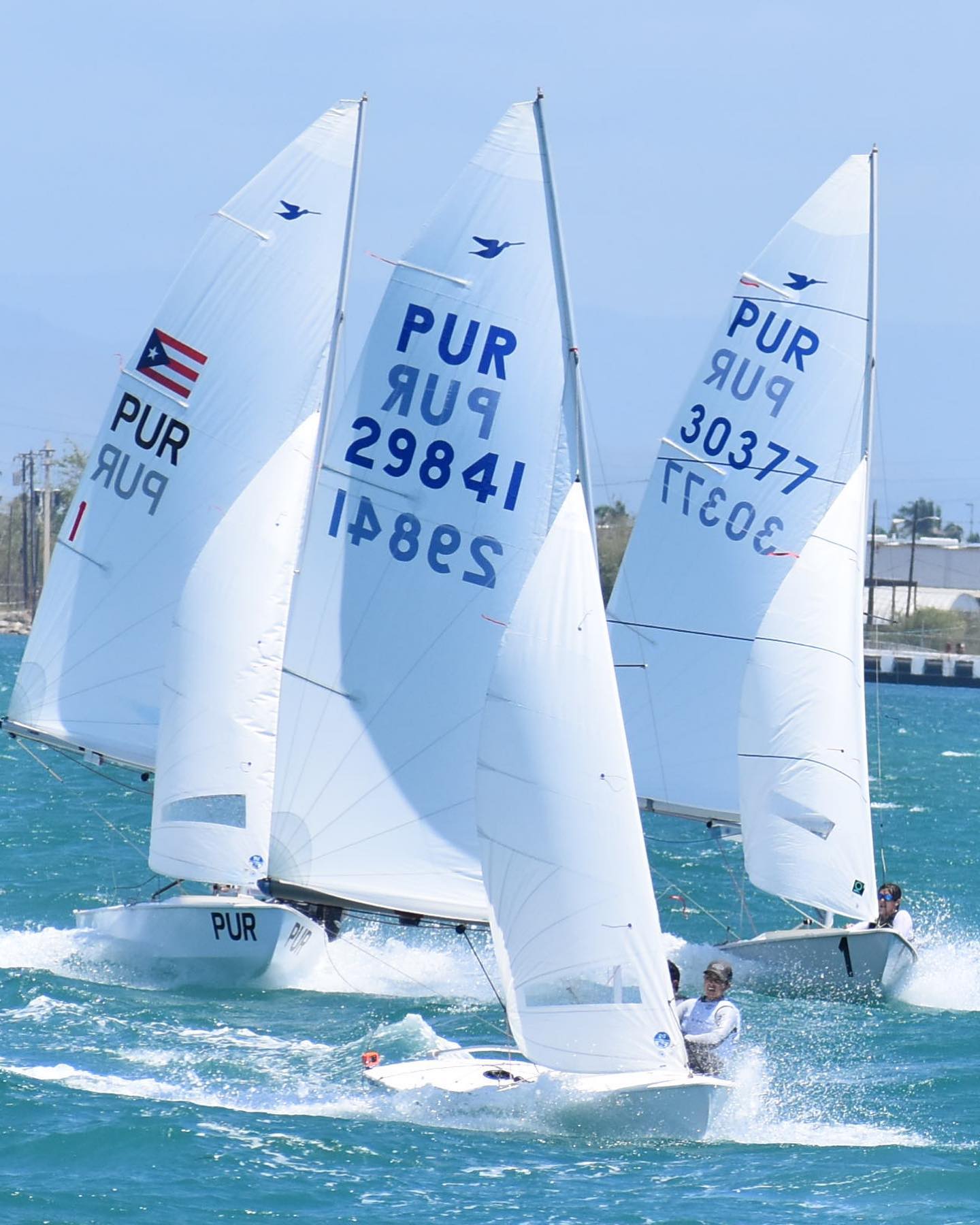 Regata Clasificatoria de Snipe Bahia de Ponce Image