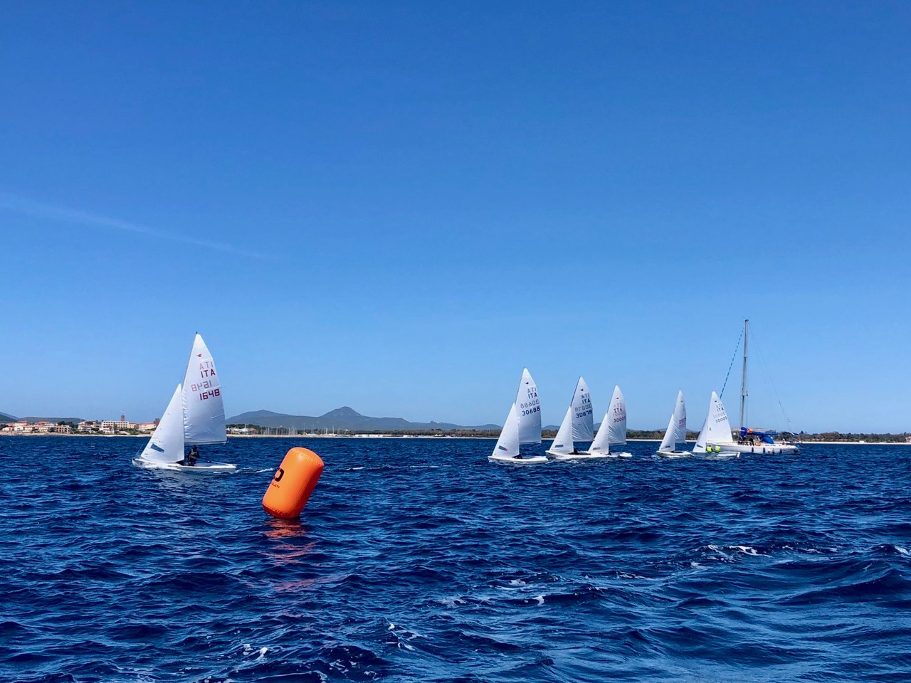 Regattas in Sardinia Image