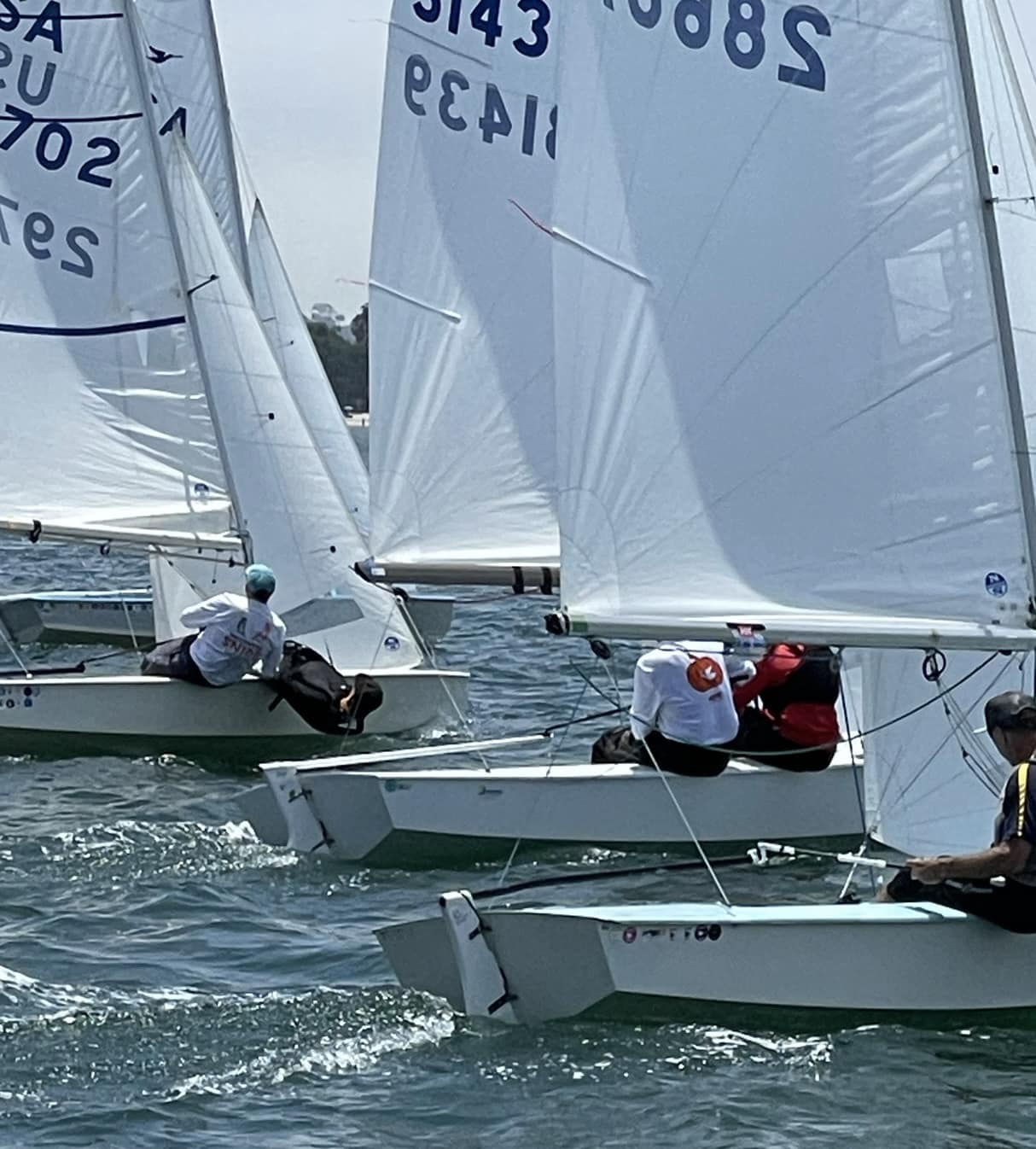 Herb Shear Regatta Image