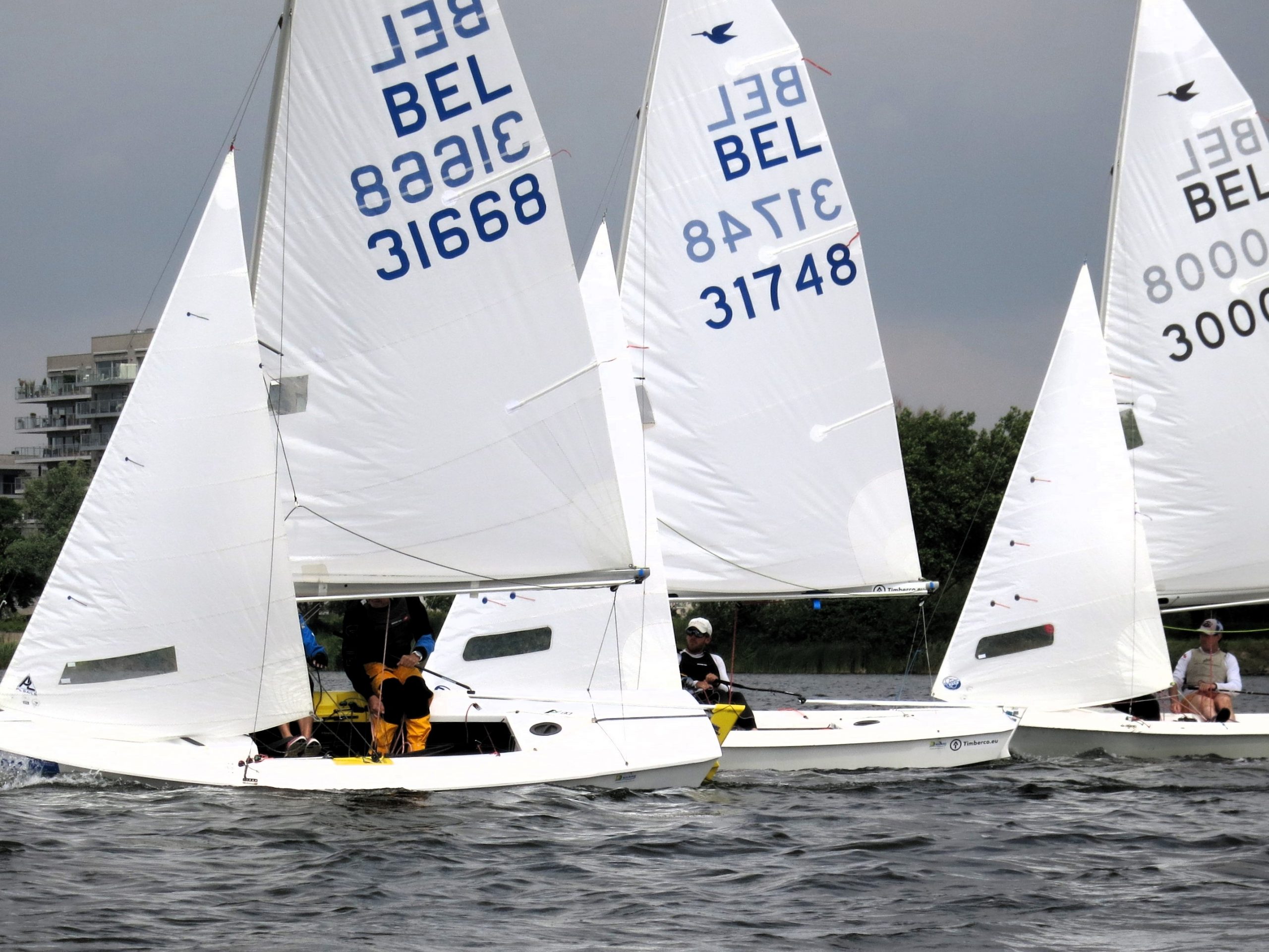 Havn Cup Image
