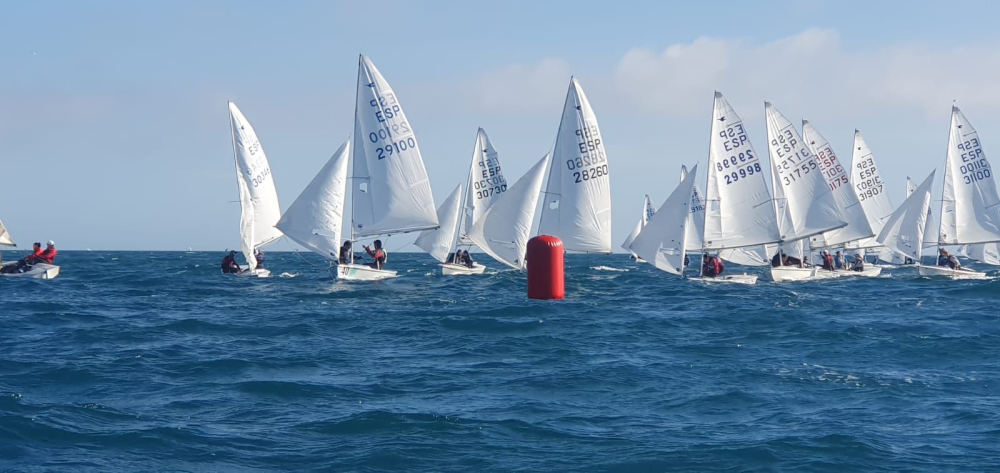 Copa de Andalucia – Trofeo Pata Negra Image