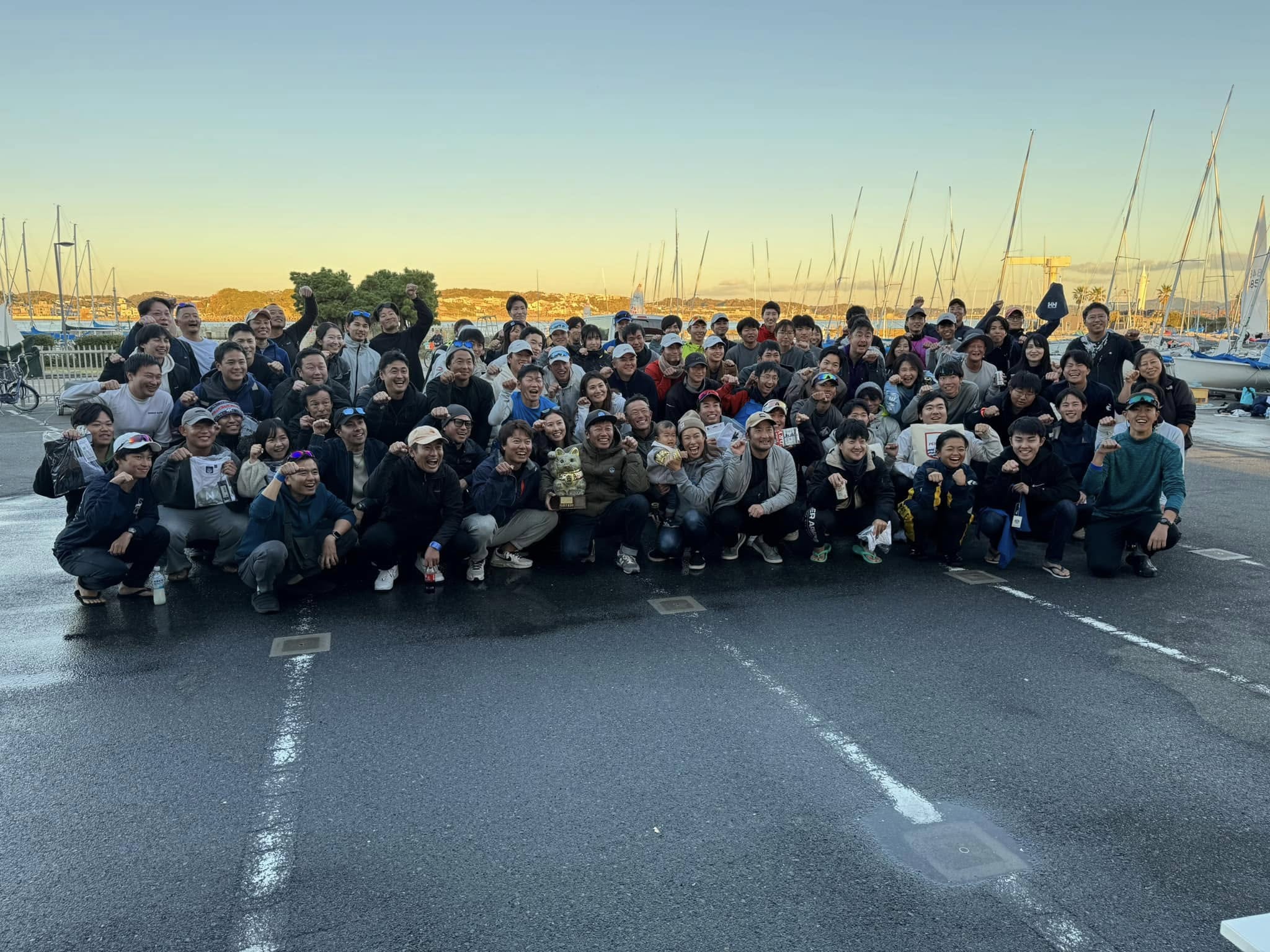 Golden Cat Cup Image