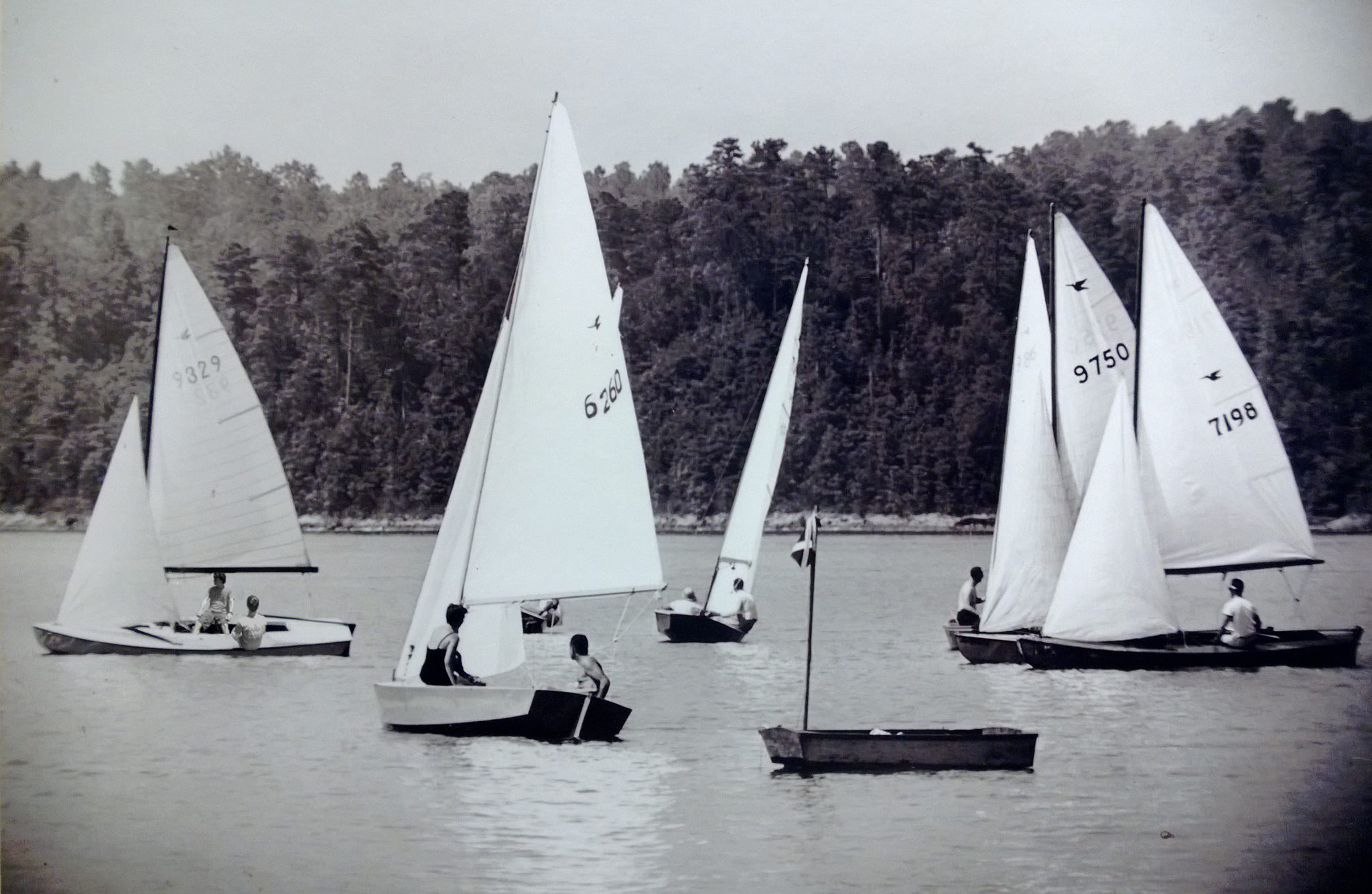 Atlanta Yacht Club Open Regatta  Image