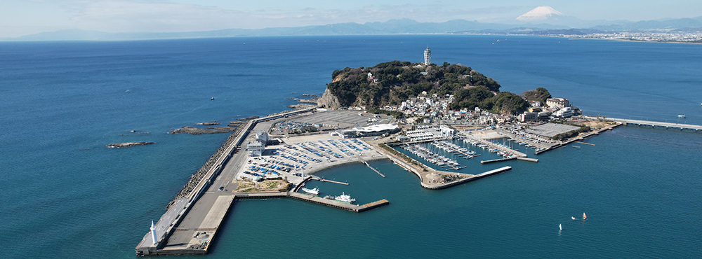 All Japan Mixed & Junior Nationals Image