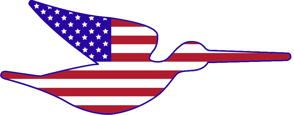 SCIRA USA Executive Director Image