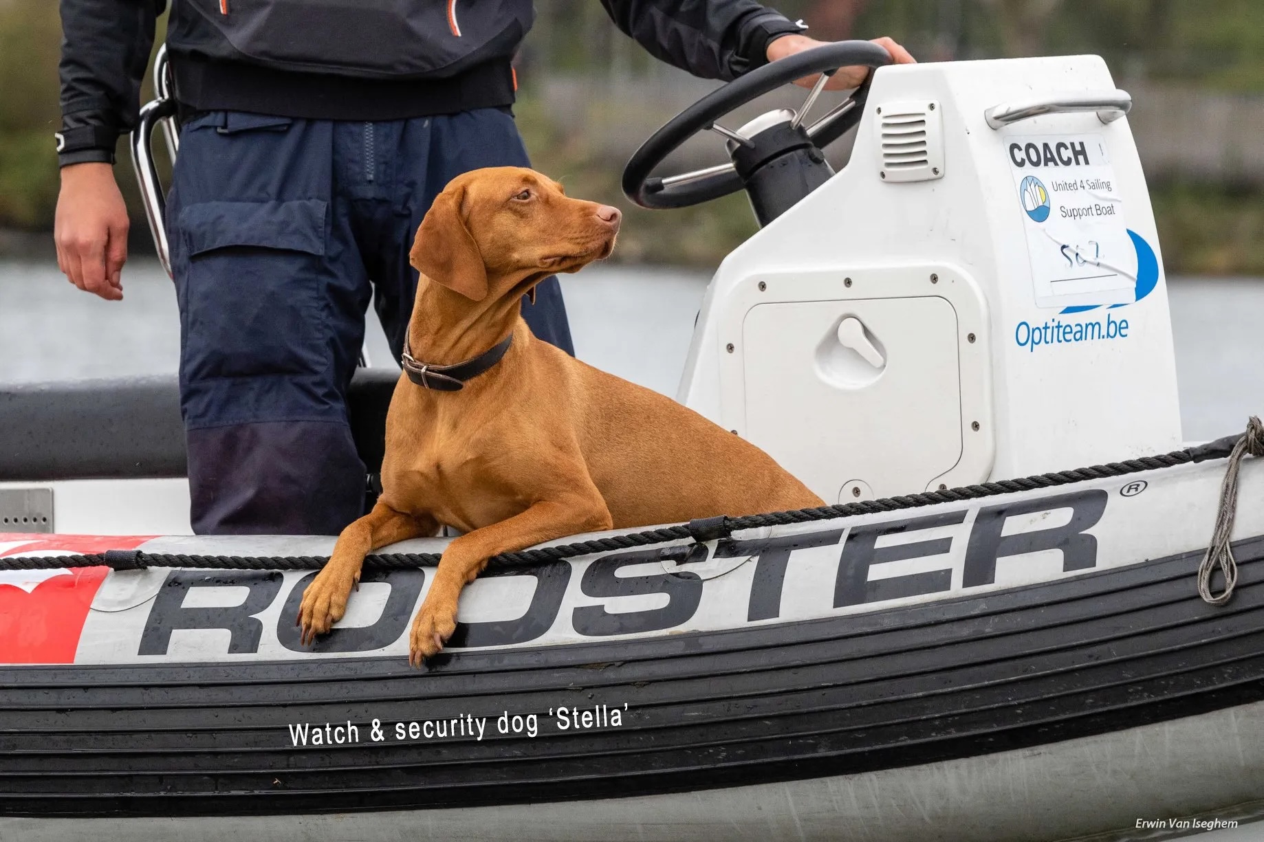 Understanding the Snipe Class: The SCIRA Rep Image