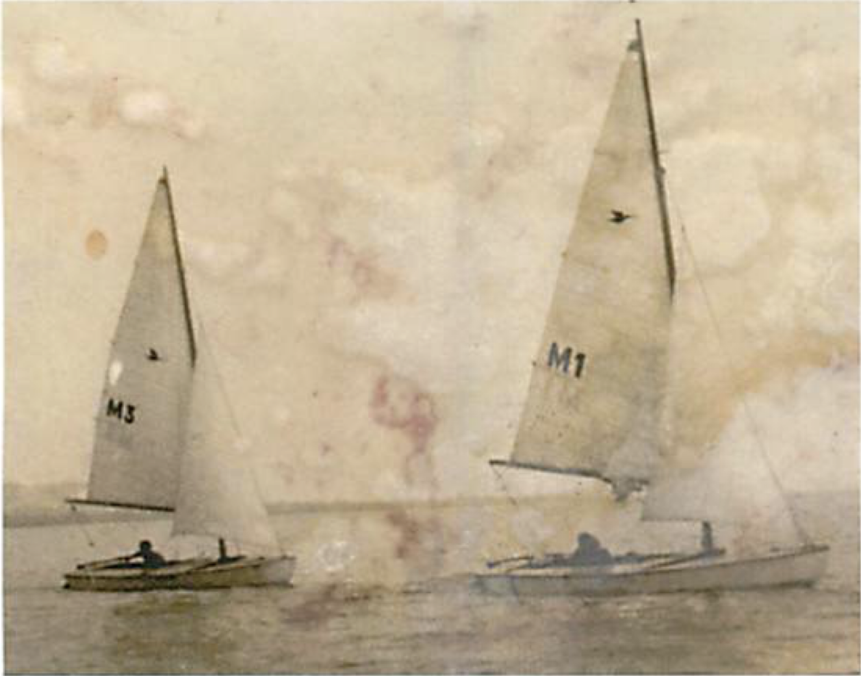 Snipes in Hungary Image