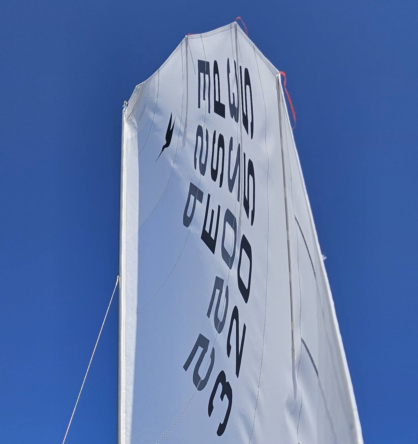 Copa Primavera Image