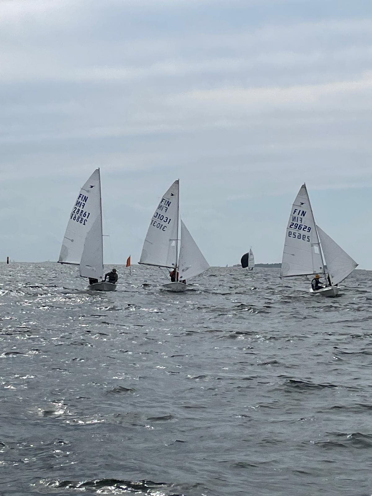 Kotka Ranking Image