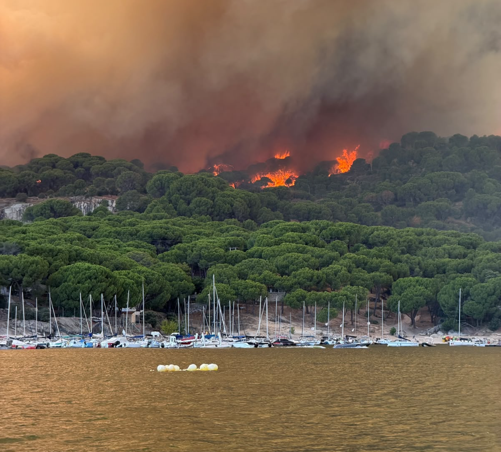 Wildfires in Europe Impact Snipe Fleets in Spain and France Image